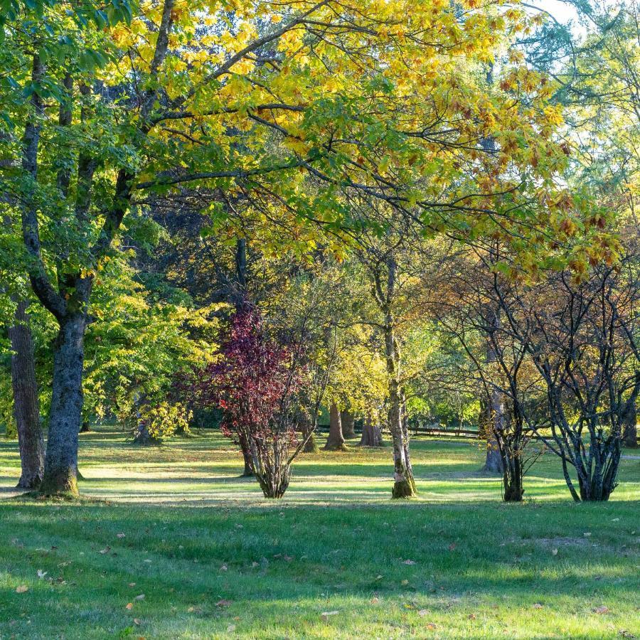 Ferienwohnung "Am Kurpark" Sankt Andreasberg Zewnętrze zdjęcie